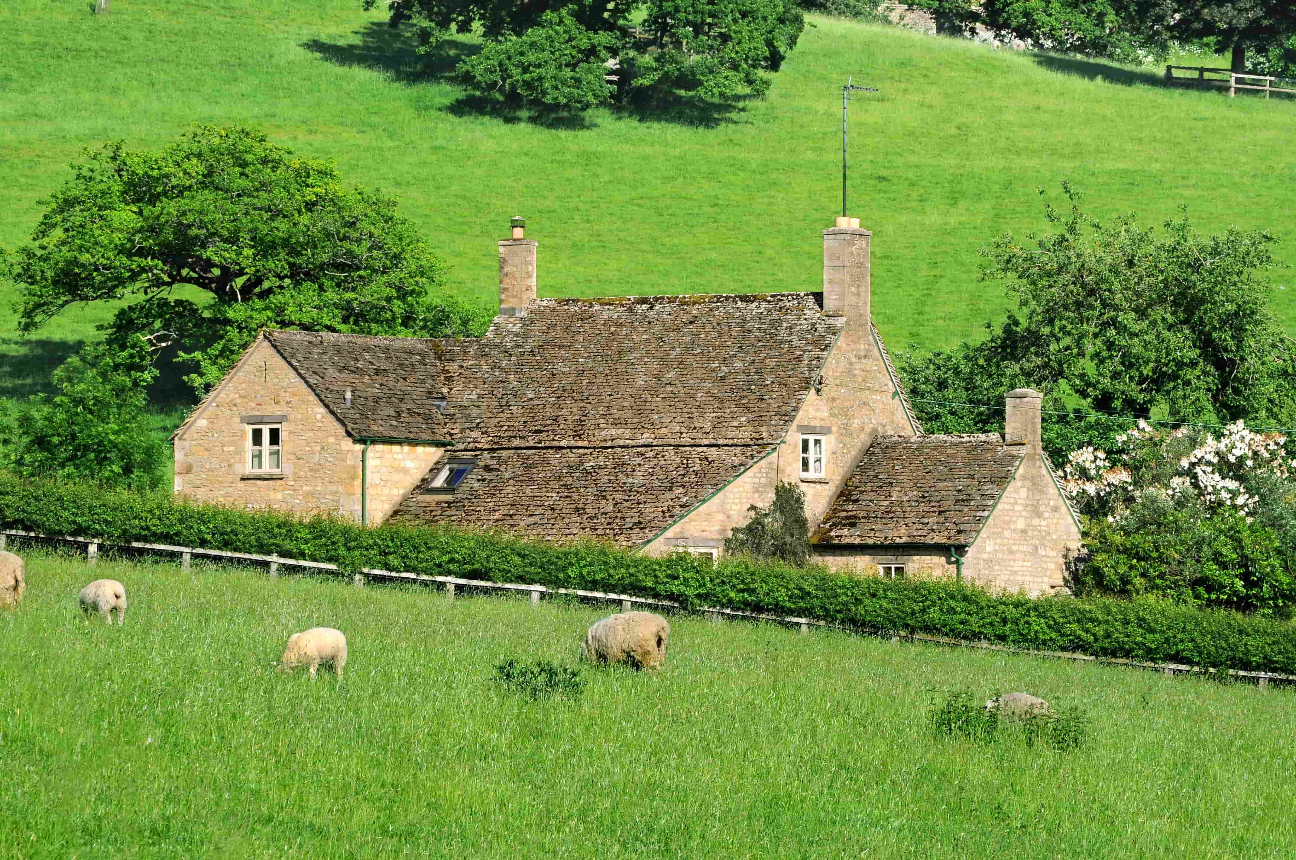 Visite de la campagne des Cotswolds
